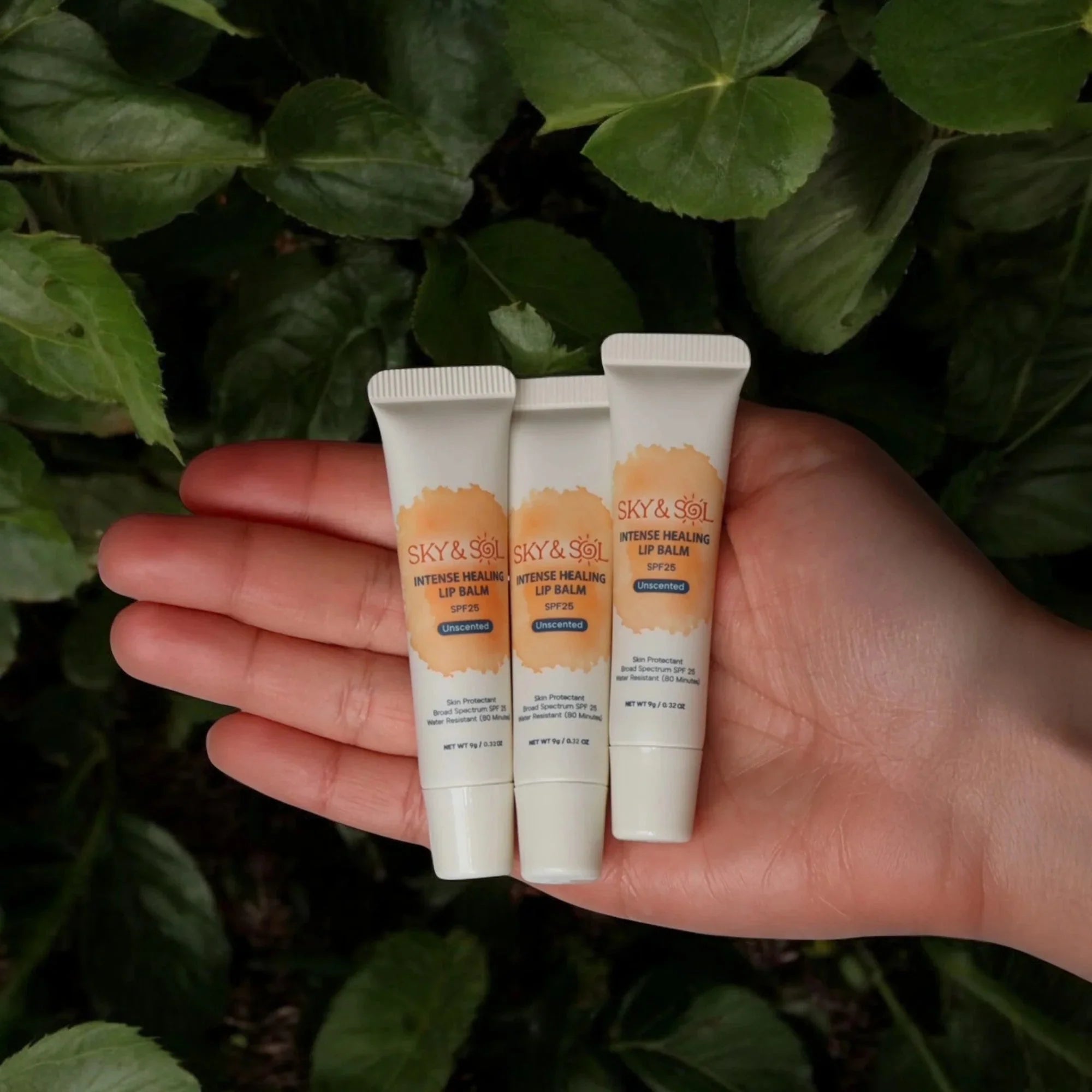 SPF 25 lip jelly sunscreen three pack