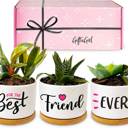 Best Friend Christmas or Birthday Gifts for Women - Our Pretty Best Friend Pots Are Lovely Gifts for Girlfriend for Birthday or Christmas and Arrive Beautifully Gift Boxed for Her