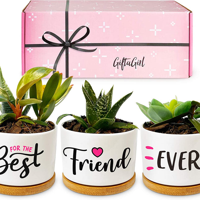 Best Friend Christmas or Birthday Gifts for Women - Our Pretty Best Friend Pots Are Lovely Gifts for Girlfriend for Birthday or Christmas and Arrive Beautifully Gift Boxed for Her