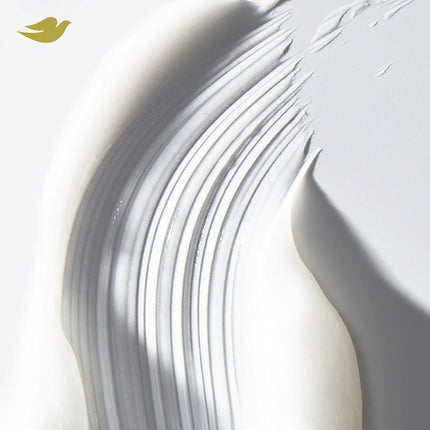 Dove Coconut & Hydration Conditioner for Dry Hair with Bio-Protein Care Technology and Coconut Oil, 28 Fl Oz
