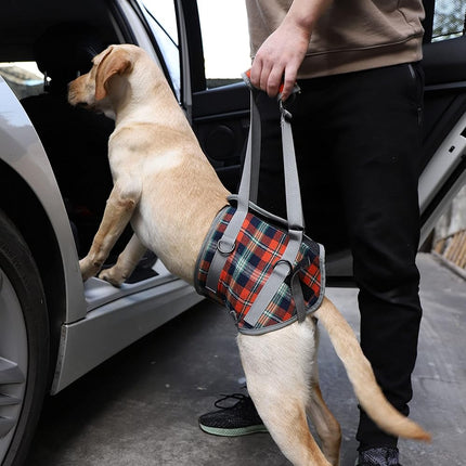 Dog Lift Harness, Grid Pet Rear Support Aid Veterinarian Approved Sling for Old K9 Help with Poor Stability, Back Leg Hip Disabled Joint Injury Elderly Arthritis ACL Rehabilitation Rehab