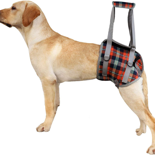 Dog Lift Harness, Grid Pet Rear Support Aid Veterinarian Approved Sling for Old K9 Help with Poor Stability, Back Leg Hip Disabled Joint Injury Elderly Arthritis ACL Rehabilitation Rehab