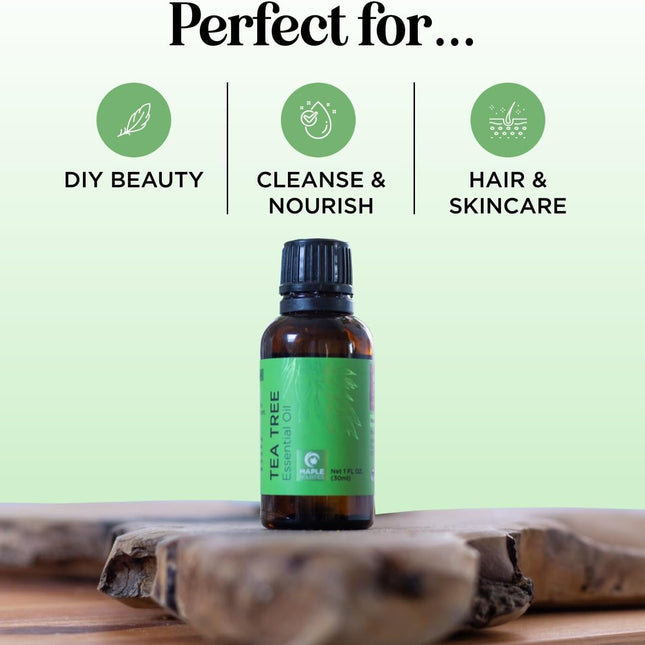 Pure Tea Tree Oil for Hair Skin and Nails - 100% Pure Undiluted Tea Tree Essential Oil with Dropper for Topical Uses Aromatherapy Diffusing and Home and Beauty Diys - Vegan and Cruelty Free (1 Fl Oz)