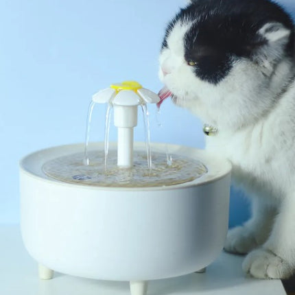 Pets Water Fountain by Gilded Grace
