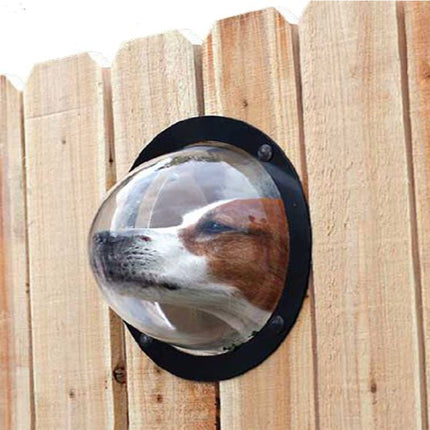 PetPeek Fence Window for Pets by Gilded Grace