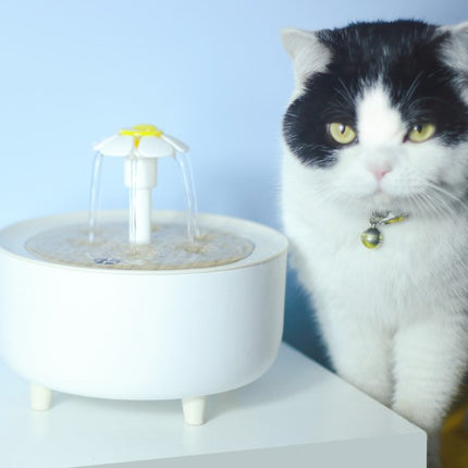 Pets Water Fountain by Gilded Grace
