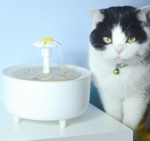 Pets Water Fountain by Gilded Grace