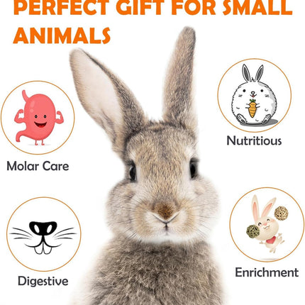 16Pcs Timothy Hay Treats - Natural Chews for Teeth - Handmade Rabbit, Chinchilla, Gerbil, Rat, Hamster Toys - Bunny & Guinea Pig