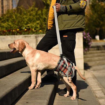 Dog Lift Harness, Grid Pet Rear Support Aid Veterinarian Approved Sling for Old K9 Help with Poor Stability, Back Leg Hip Disabled Joint Injury Elderly Arthritis ACL Rehabilitation Rehab
