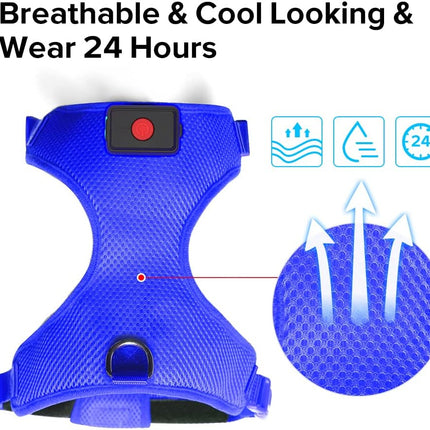 LED Dog Harness,Lighted up USB Rechargeable Pet Harness,Illuminated Reflective Glowing Dog Vest Adjustable Soft Padded No-Pull Suit for Small,Medium,Large Dogs (Blue, M)