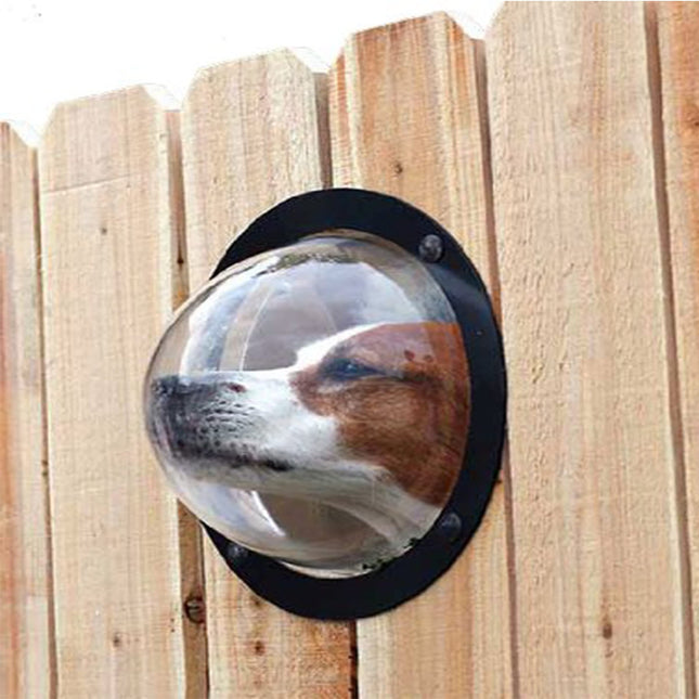 PetPeek Fence Window for Pets by Gilded Grace