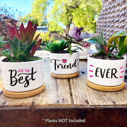 Best Friend Christmas or Birthday Gifts for Women - Our Pretty Best Friend Pots Are Lovely Gifts for Girlfriend for Birthday or Christmas and Arrive Beautifully Gift Boxed for Her