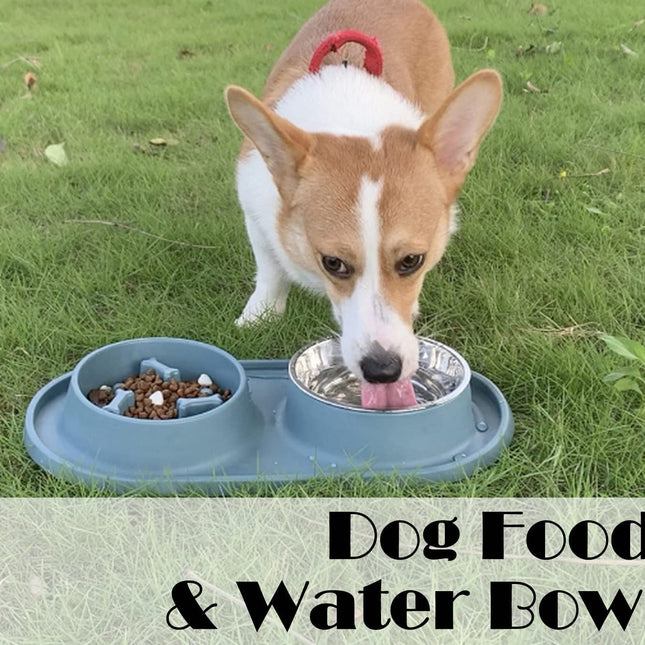 Dog Bowls Small Medium Sized Dog Food Bowl, Slow Feeder Dog Bowl Set, Stainless Steel Dog Bowls, Non-Skid Cat Dog Food and Water Bowls by  (Navy)