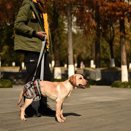 Dog Lift Harness, Grid Pet Rear Support Aid Veterinarian Approved Sling for Old K9 Help with Poor Stability, Back Leg Hip Disabled Joint Injury Elderly Arthritis ACL Rehabilitation Rehab