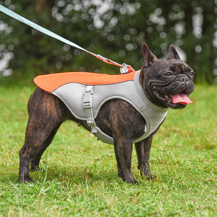 Cooling Vest for Pets by Gilded Grace