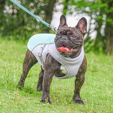 Cooling Vest for Pets by Gilded Grace