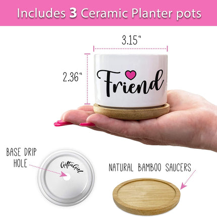 Best Friend Christmas or Birthday Gifts for Women - Our Pretty Best Friend Pots Are Lovely Gifts for Girlfriend for Birthday or Christmas and Arrive Beautifully Gift Boxed for Her